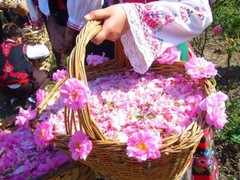 HAND CREAM WITH ROSE WATER PARABEN FREE BULGARIAN SELLER MADE IN BULGARIA