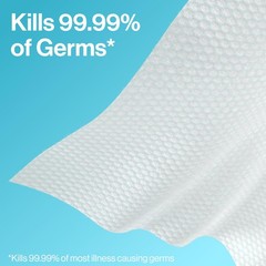 The Honest Company Fragrance-Free Sanitizing 50 Count (Pack of 2), white