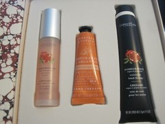 CRABTREE EVELYN POMEGRANATE ARGAN OIL HAND CARE SET~PRIMER, OVERNIGHT THERAPY CR