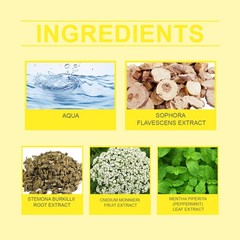 Herbal Nail Treatment Liquid Fungal Toenail Care Nail Repair & Growth