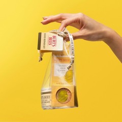 Burt’s Bees Hand Repair Gift Set