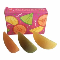 Avon Citrus Scents Soap Set + Avon Skin-So-Soft Anti-Itch Refill Spray Bottles