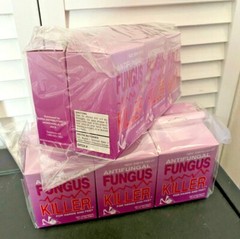 12 Pcs – Miss Nail Hands Feet Fungus Killer Anti Fungal .25oz/7.3ml