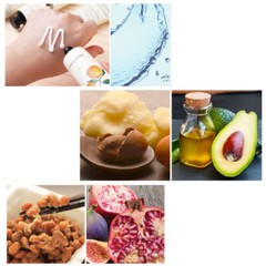 Bonita Garden of Hand Cream Shea butter & Botanical Collaboration 6 PCS x 75ml