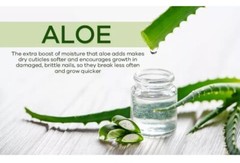 Moisturizing Cuticle & Nail Care Oil 2.3 Fl Oz Unscented – Infused with Jojob…