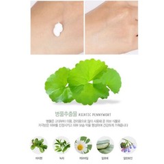 Medi Flower Secret Garden Of Five Hand Cream 50g(1.76oz) x 5 Fragrance Moisture