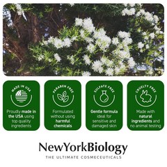New York Biology Tea Tree Oil Foot Cream for Dry 8.00 Ounce (Pack of 1)
