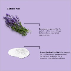 BCL Spa Strengthening Peptide Nail & Cuticle Oil, Lavender Scented