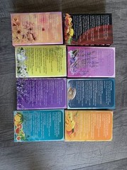 8 Asst Boxes Of 2E Organic 9 in 1 Bomb Spa. Great For A Spa Pedicure Party