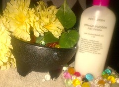 Lotion Hand & Body 6 oz Scented Lotion Shea Coco 300+ Scents – U You Pick Scent