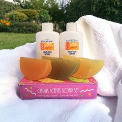 Avon Citrus Scents Soap Set + Avon Skin-So-Soft Anti-Itch Refill Spray Bottles
