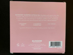 BLOSSOM Scented Nail Cuticle Oil -Cranberry Spice/Strwbrry Cheesecake/Hot Cocoa
