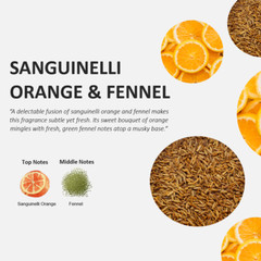 Fruits & Passion Cucina Sanguinelli Orange & Fennel Nourishing Hand Butter 2 Oz