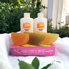 Avon Citrus Scents Soap Set + Avon Skin-So-Soft Anti-Itch Refill Spray Bottles