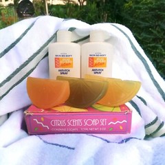 Avon Citrus Scents Soap Set + Avon Skin-So-Soft Anti-Itch Refill Spray Bottles