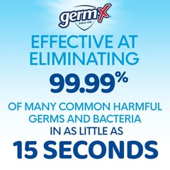Germ-X Advanced Hand Sanitizer, 34 Fl Oz (1 33.8 (Pack of 1), Clear