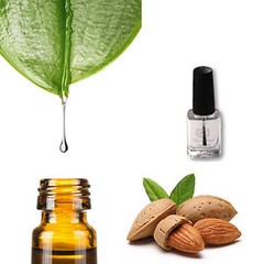 Quality natural Almond Oil for Nail treatments made in USA