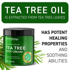 New York Biology Tea Tree Oil Foot Cream for Dry 8.00 Ounce (Pack of 1)