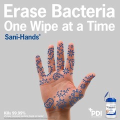 Sani-Hands Hand Sanitizer Wipes 100 Packets Per Box 100 Count (Pack of 1)