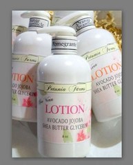 CITRONELLA FRAGRANCE – HAND & BODY SHEA BUTTER ALOE VERA LOTION