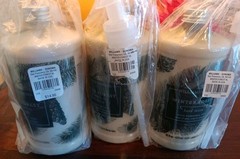 Williams Sonoma WINTER FOREST Hand Lotion & Pump Set NEW Large 16 fl oz / 473 mL