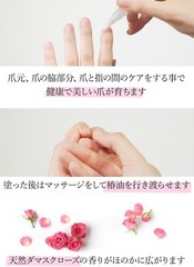 Fresh camellia oil nail care Hello Kitty collaboration Hello Kitty Japoneira