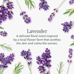 Beekman 1802 Goat Milk Hand Cream – Lavender – Scented – 2 Fl Oz (Pack of 1)