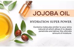 Moisturizing Cuticle & Nail Care Oil 2.3 Fl Oz Unscented – Infused with Jojob…
