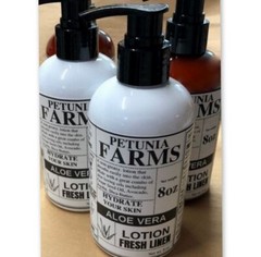 JUNIPER BREEZE FRAGRANCE – HAND & BODY SHEA BUTTER ALOE VERA LOTION