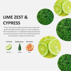 Fruits & Passion Cucina Lime Zest & Cypress Hand Butter 2 Oz