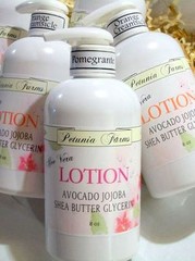 SHEA BUTTER LOTION 8 ounce Rice Flower & Shea fragrance Shea Butter Aloe Vera