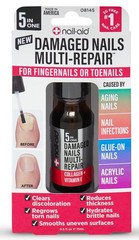 Nail-Aid – 5-in-1 Damaged Nails Multi-Repair for 0.5 Fl Oz (Pack of 1), Clear
