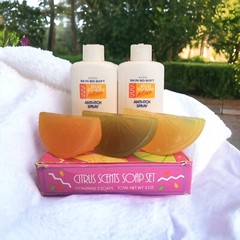 Avon Citrus Scents Soap Set + Avon Skin-So-Soft Anti-Itch Refill Spray Bottles